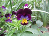 383abd60-Picture 648.jpg